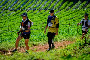 BIB: 3062
                            <button type="button" onclick="openModal(19163679)" class="btn btn-primary btn-sm float-right btn-popup" data-toggle="modal" data-target=".modal-high-quality">
                        <i class="fas fa-shopping-cart"></i> Add to Cart
                    </button>
                                            <button type="button" onclick="isThisMe(19163679, true)" class="btn btn-success btn-sm float-right btn-popup btn-isme hidden" data-toggle="tooltip" data-placement="bottom" title="นี่คือรูปของคุณใช่ไหม คลิกที่นี่เพื่อเอาเข้าอัลบั้ม">
                        <i class="fas fa-plus"></i> Add to album
                    </button>
                    <button type="button" onclick="isThisMe(19163679, false)" class="btn btn-warning btn-sm float-right btn-popup btn-isnotme hidden">
                        <i class="fas fa-ban"></i> Remove from album
                    </button>